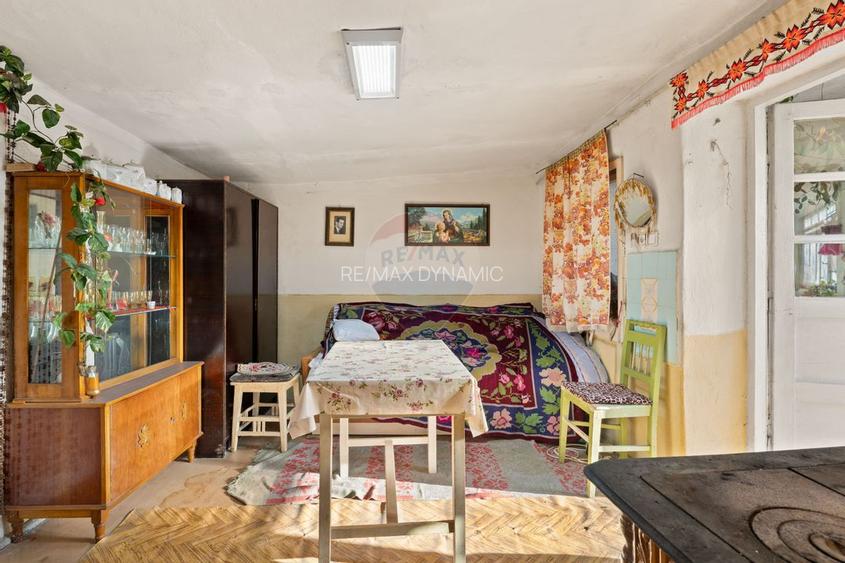 Gospodarie autentică bănățeană, cu teren generos și livadă – Frumușeni - 7