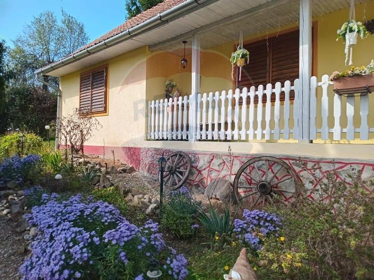 OCAZIE!!! CASA SUPERBA cu teren in JULITA jud Arad in M tii Zarandului - 42