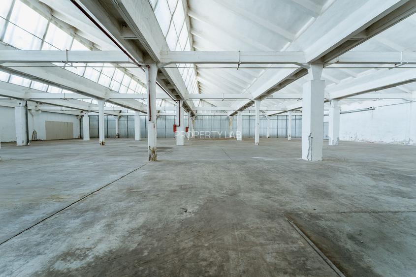 Hală de închiriat în Arad - 3