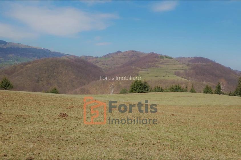 Teren zona de interes turistic 12 000 mp - 6