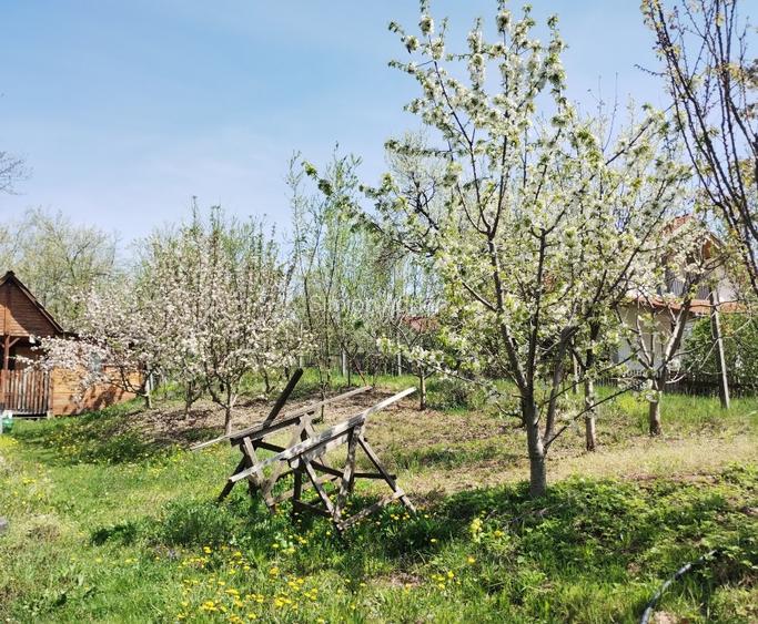 TEREN INTRAVILAN 1400 mp cu cabană și livadă, Gârbova de Sus (Aiud), zonă bună - 3