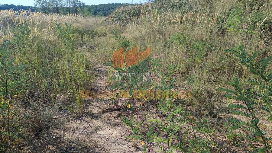 Teren cu autorizatie si proiect de construire, utilitati, Smeura - 9