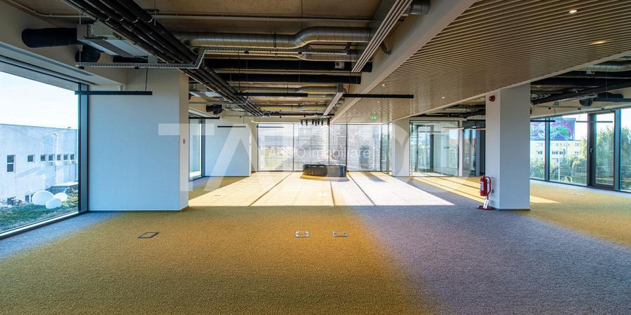Birouri premium in Sibiu–Spatii flexibile moderne pentru companii - 13