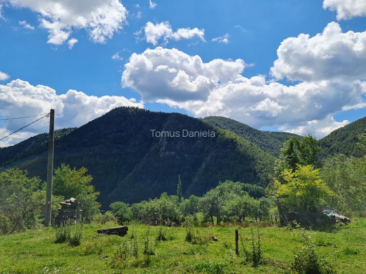 Teren de vânzare cu casă în Apuseni - 6