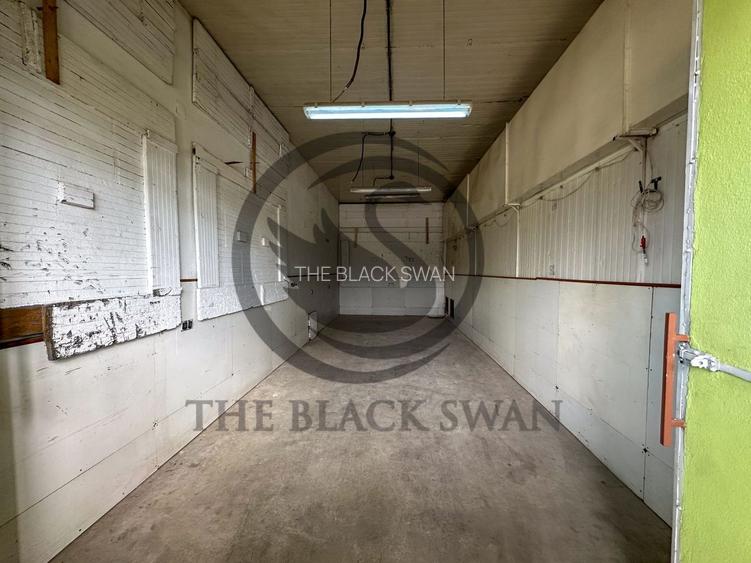 Spațiu/Hala de inchiriat | 800 mpu | Magurele - Prahova | Comision 0% - 4