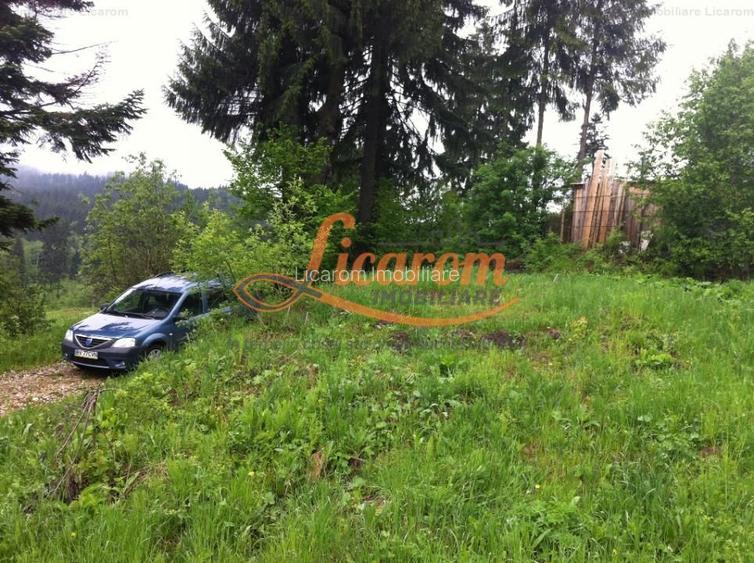 Teren intravilan Cotul Donului,pretabil Hotel/pensiune. - 5