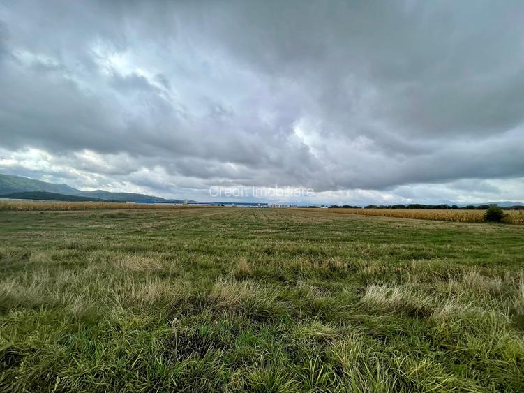 Teren industrial pretabil hala P.U.Z aprobat! - 2