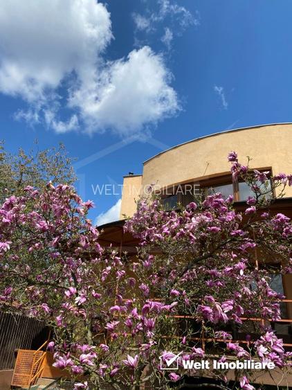 Casa individuala 300 mp, teren 500 mp, zona Piata Engels ! - 4