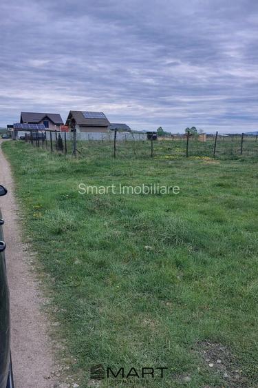 Teren Intravilan 1000 mp Harman - 2