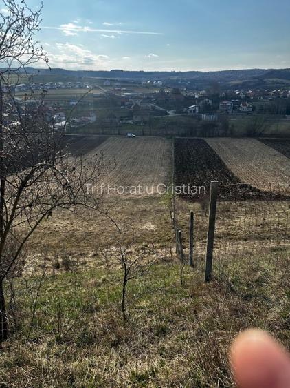 Teren extravilan 9000 mp Corușu, Baciu – acces drum,  acces apa curgatoare - 4