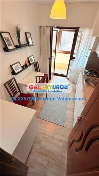 Apartament 2 Camere Cat Friendly 13 Septembrie VI 213 - 3