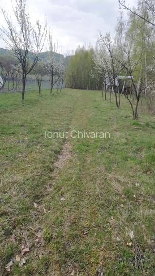 Proprietate deosebită 5000 mp în Slătioara (Vâlcea) – Intabulat cu Pădure  - 2