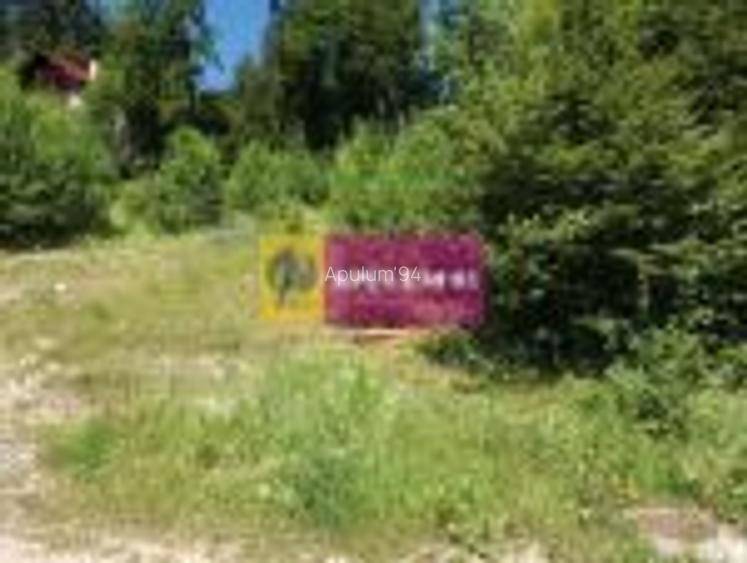 Teren Intravilan de Vanzare Sinaia - 5