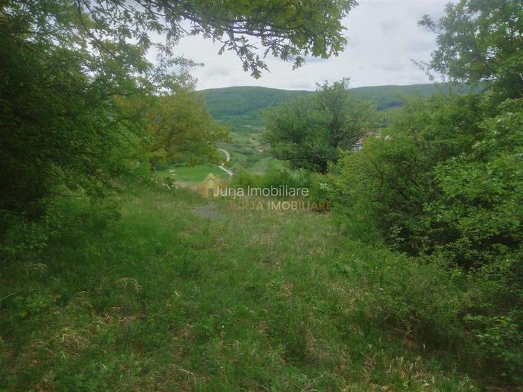 teren extravilan 3640 mp Strada Stejarului - 10