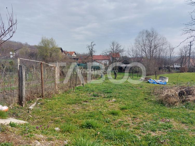 Casa 58 mp cu gradina 300 mp pet friendly central Cisnadioara - 10