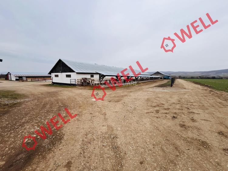 Ferma complet echipată de 22 de hectare de vânzare în Zoltan! - 11