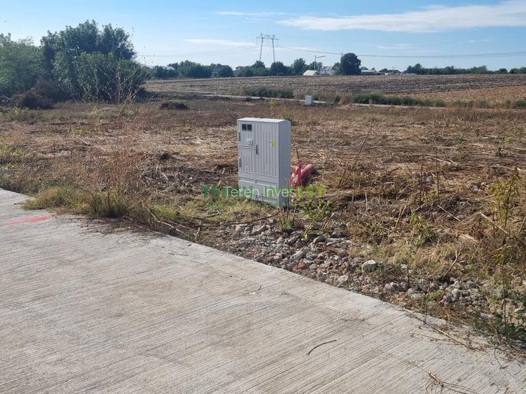 Proprietar ofer spre vânzare loturi teren - DN 4 Popești-Frumușani - 8