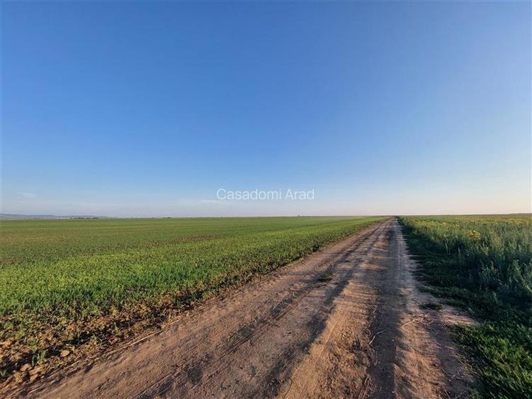 Teren 50 ha compact, pentru balastiera sau parc fotovoltaic, zona Horia - 4