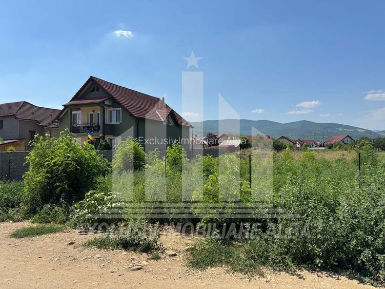 Teren intravilan | 4000 mp | 24.5 ml deschidere | Alba-Micesti - 2