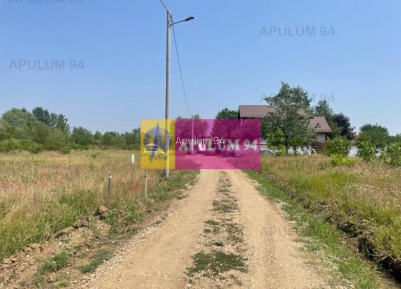 Teren Domnesti- Ciutaci. - 2