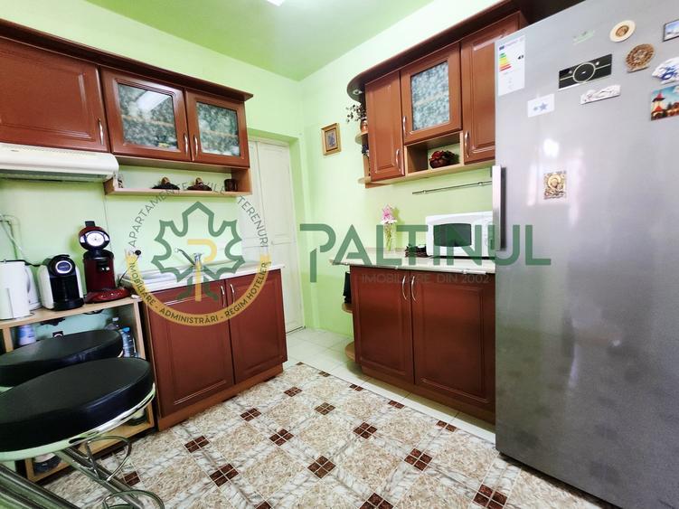 Casă Turnișor – 280 mp utili, teren 515 mp, curte și grădină pe rod