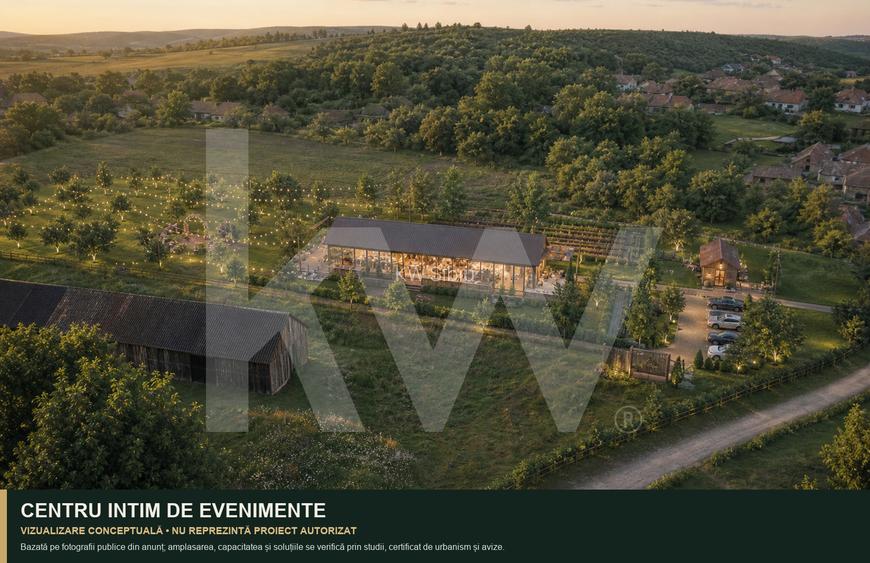 Teren intravilan 7.979 mp | ideal glamping, pensiune sau investiție | Mureș - 4