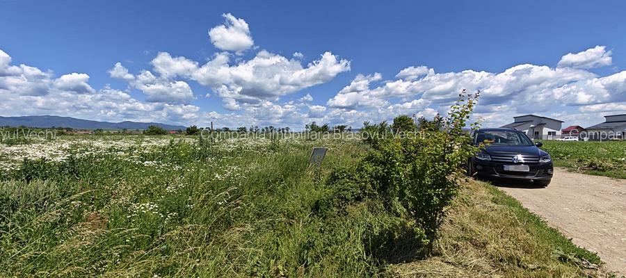 Loturi de casă în Hălchiu - Brașov. - 8