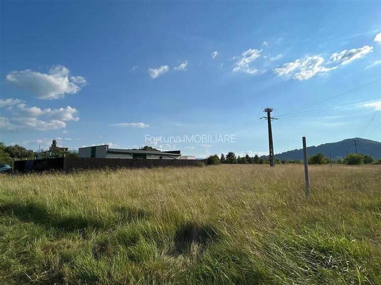 Teren intravilan, 456 mp, Harman - 2