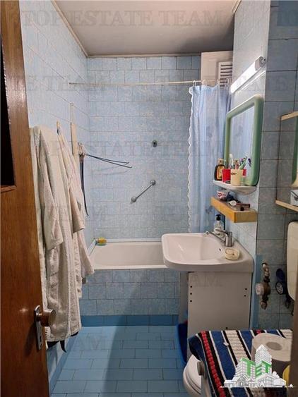 Apartament 3 camere teiul doamnei