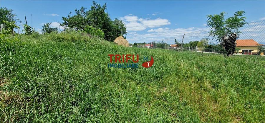 Teren intravilan cu utilitati 1803 mp în Oarda