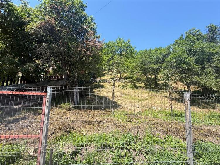 Teren Valea Doftanei, Tesila, utilitati la strada, padure in spate - 3