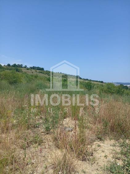 Teren de vanzare | 8800 mp | Viile Dealul Mic