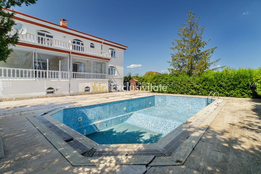 Domeniu privat 5.000 mp, cu reședință de 625 mp și piscină, Corbeanca - 37