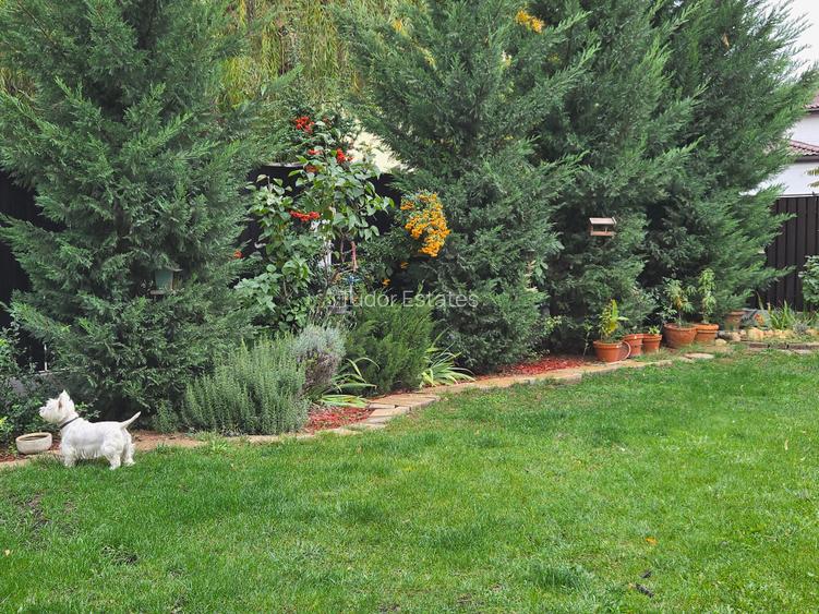 Individual villa with beautiful garden in Pipera close to International Schools - 29
