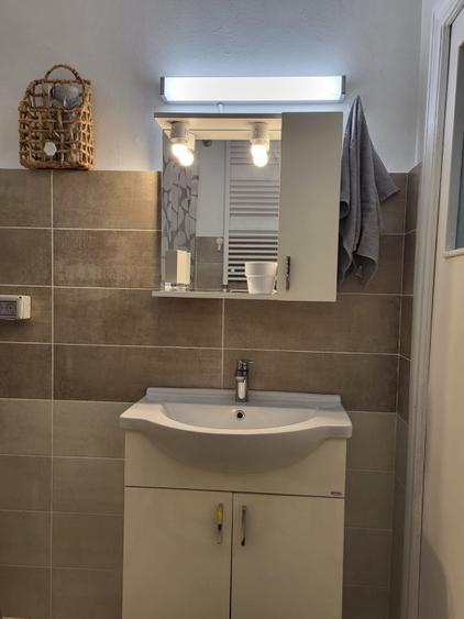 Parter vila, ap. 3 camere, zona curte privata, zona Doamna Ghica
