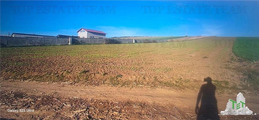 Simnicu de Sus, langa Craiova/ Teren extravilan de 5.000 mp, arabil
