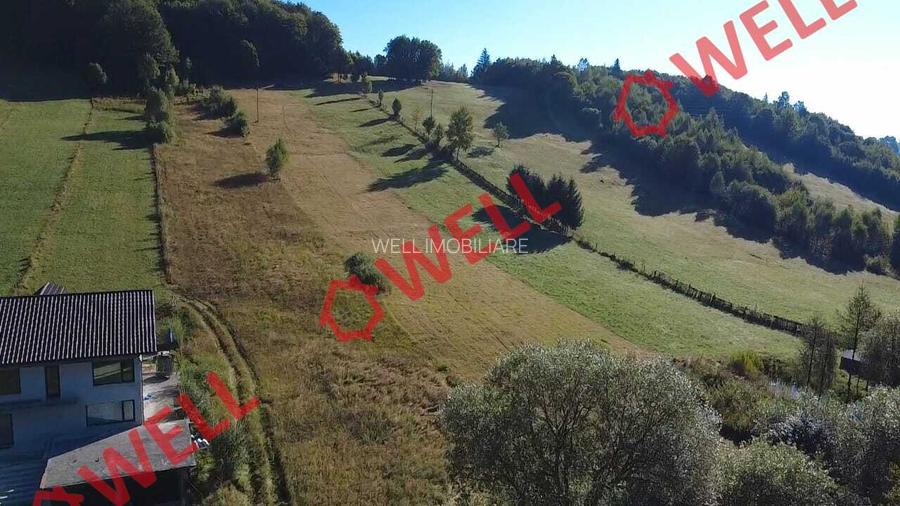 De vânzare teren extravilan în Întorsura Buzăului, Brădet! - 7