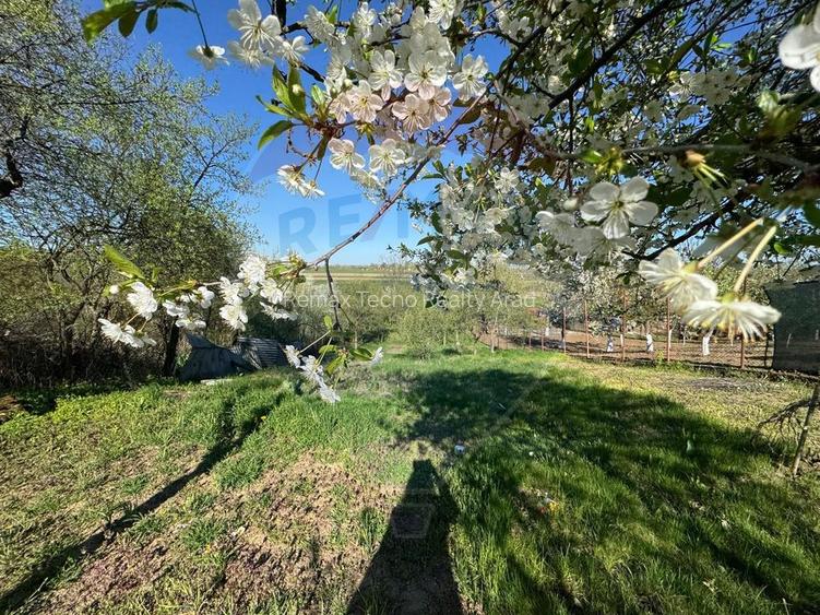 Casă de vânzare in Bodrogu Nou(Zadareni) Arad - 21