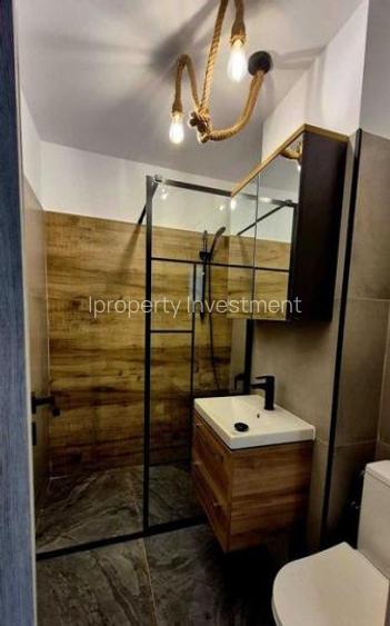Închiriere Apartament 2 camere în Victoriei - 4