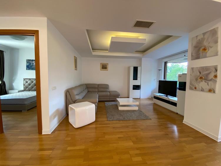 Apartament spatios parcul Herastrau// Fantana Miorita