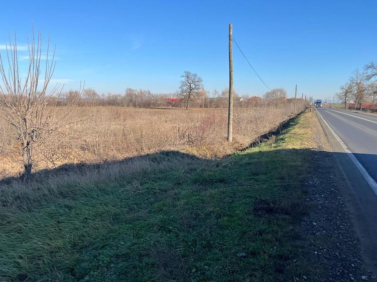 Teren intravilan, Săcădat, 27 921 mp. 9,5 Euro/mp. Comision 0.