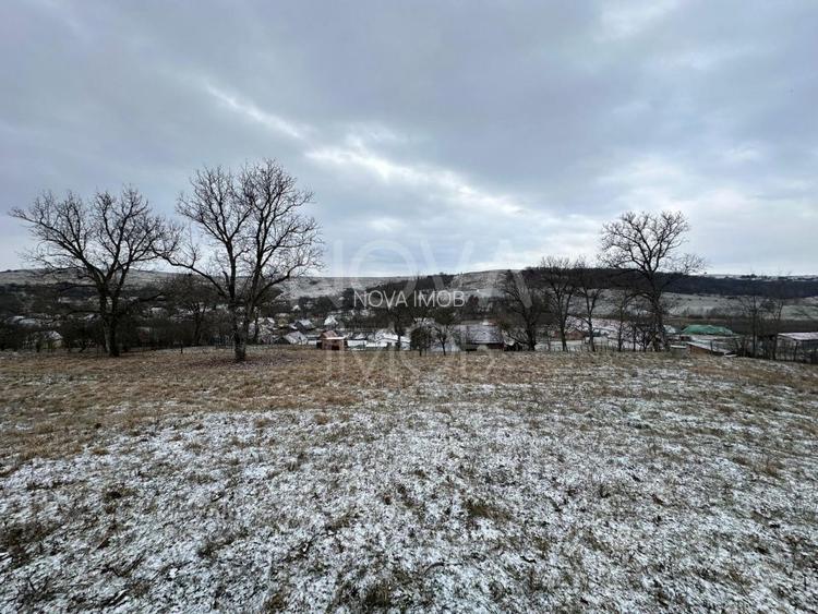 Casa individuala cu teren generos – 8.356 mp – Tichindeal, jud. Sibiu - 9