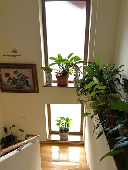 Inchiriere vila 580mp, mobilata si utilata Ion Mihalache Cimitirul Israelit