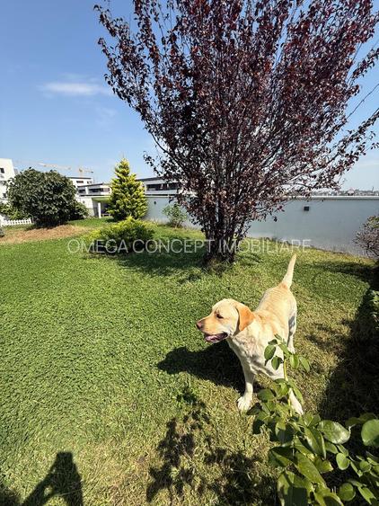 Garsonieră cu TERASĂ 50 mp LA ETAJUL 7 - Iuliu Maniu - EnVogue Residence - 6