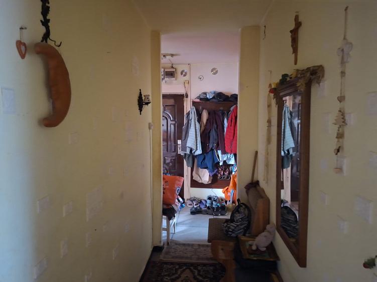 De vanzare apartament cu 3 camere in Dambu