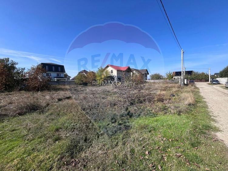 Teren 912mp de vanzare in Berceni / Strada Zanelor (2 loturi) - 2
