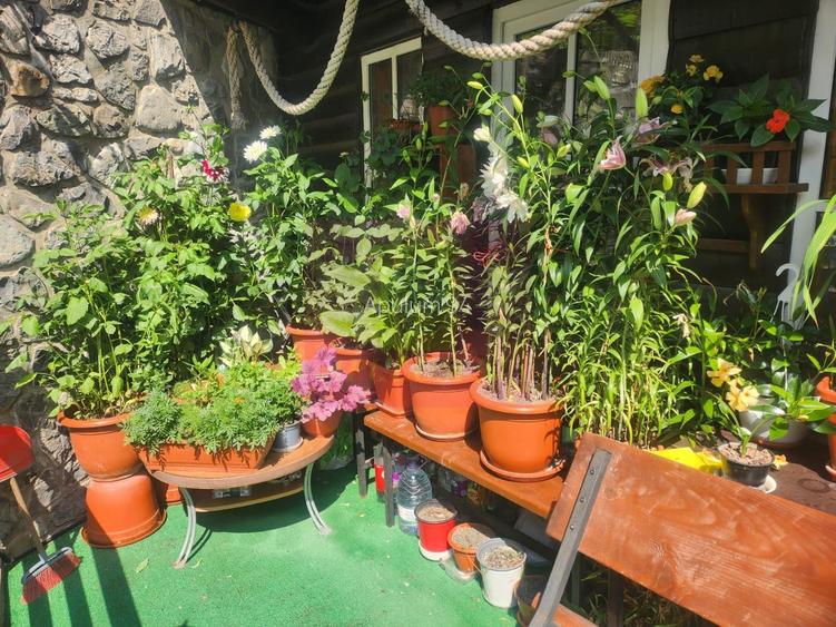 Vila de vacanta de vanzare in Busteni - Zona Zamora - 45