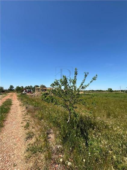 Teren intravilan, Mosnita Noua, 610 mp. Utilitati in apropiere.