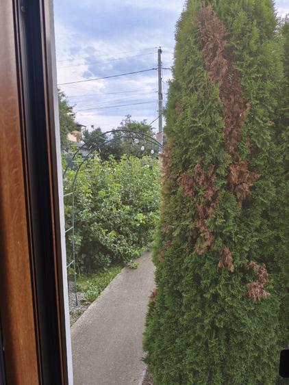 Casa pe care o doresti , nu foarte mare si confortabila , livada cu pomi pe rod