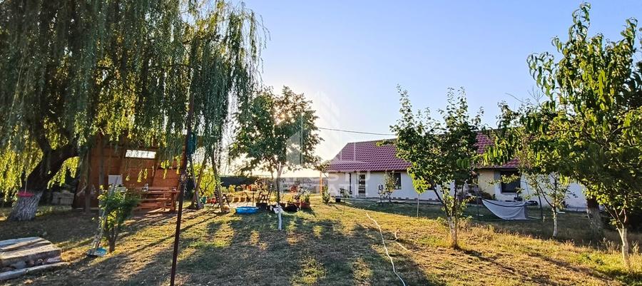 Casă individuală în Bucovăț cu 3250 mp